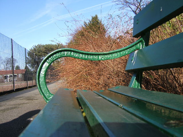 A green park bench sits facing a path and trees on a sunny day.